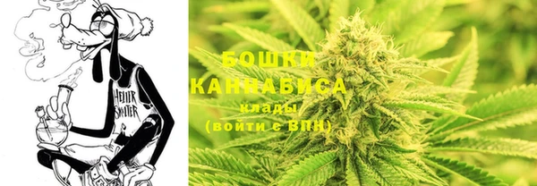 амф Инта